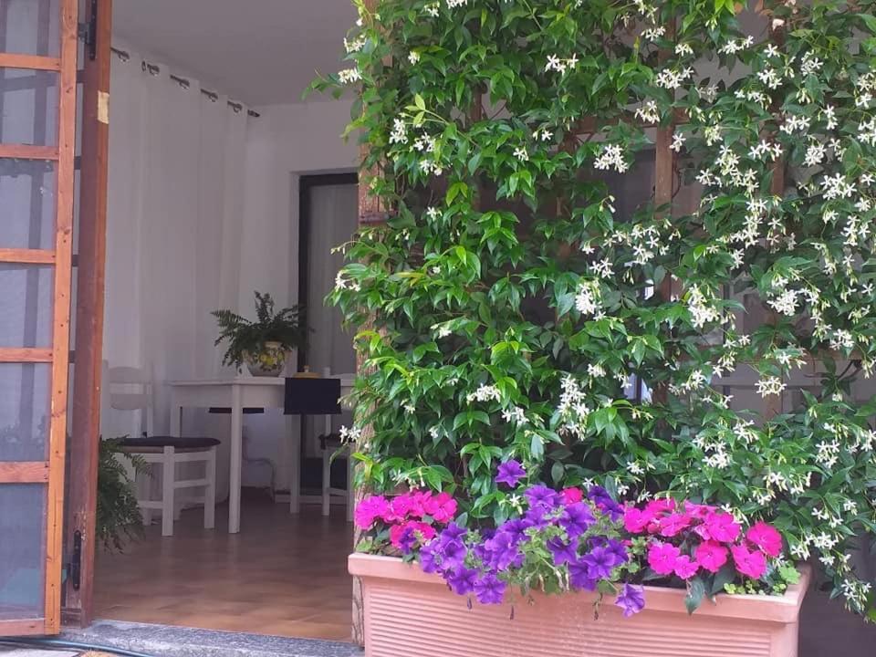 Alla Ghigliotta Viverone Exterior photo